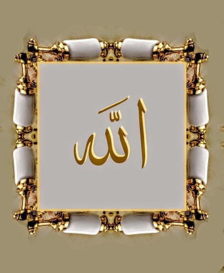 السلام علیکم ورحمۃ اللہ وبرکاتہ 💯
صبح بخیر پاکستان💞
Good morning to all
Have a Wonderful Day ♥️