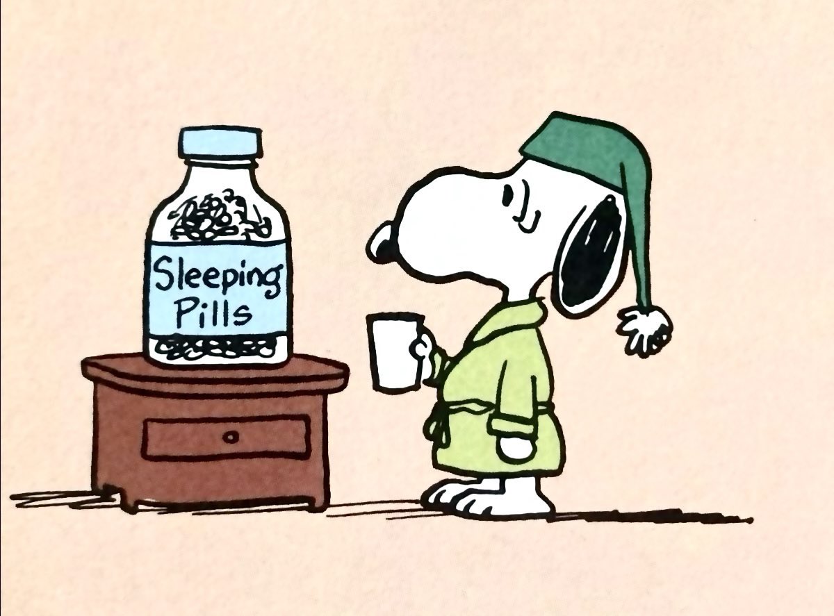 snoopy lover (@snoopyfever_) on Twitter photo 