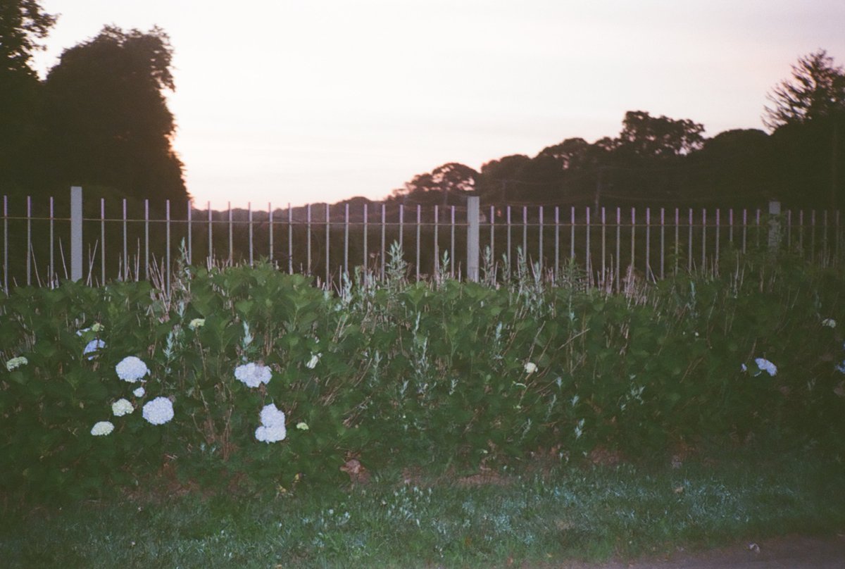 Deep fake (@thats_pers0nal) on Twitter photo 