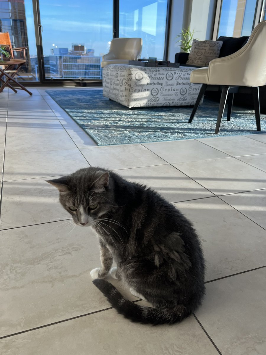 Check out my pussy