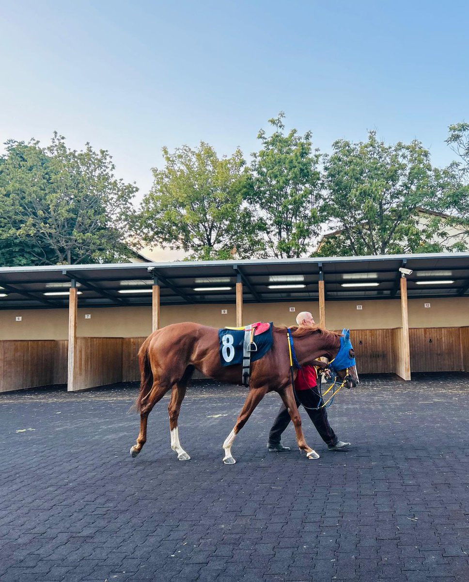 Başarıların daim olsun güzel kızım LA SPEZIA 🥉sana inancımız tam ❤️ bizi bugün olduğu gibi hep gururlandır 🧿 MAŞALLAH❤️