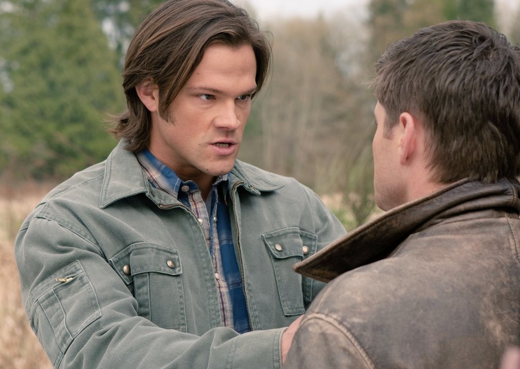 Ardan🐲𓃡 (@rudanechka) on Twitter photo 