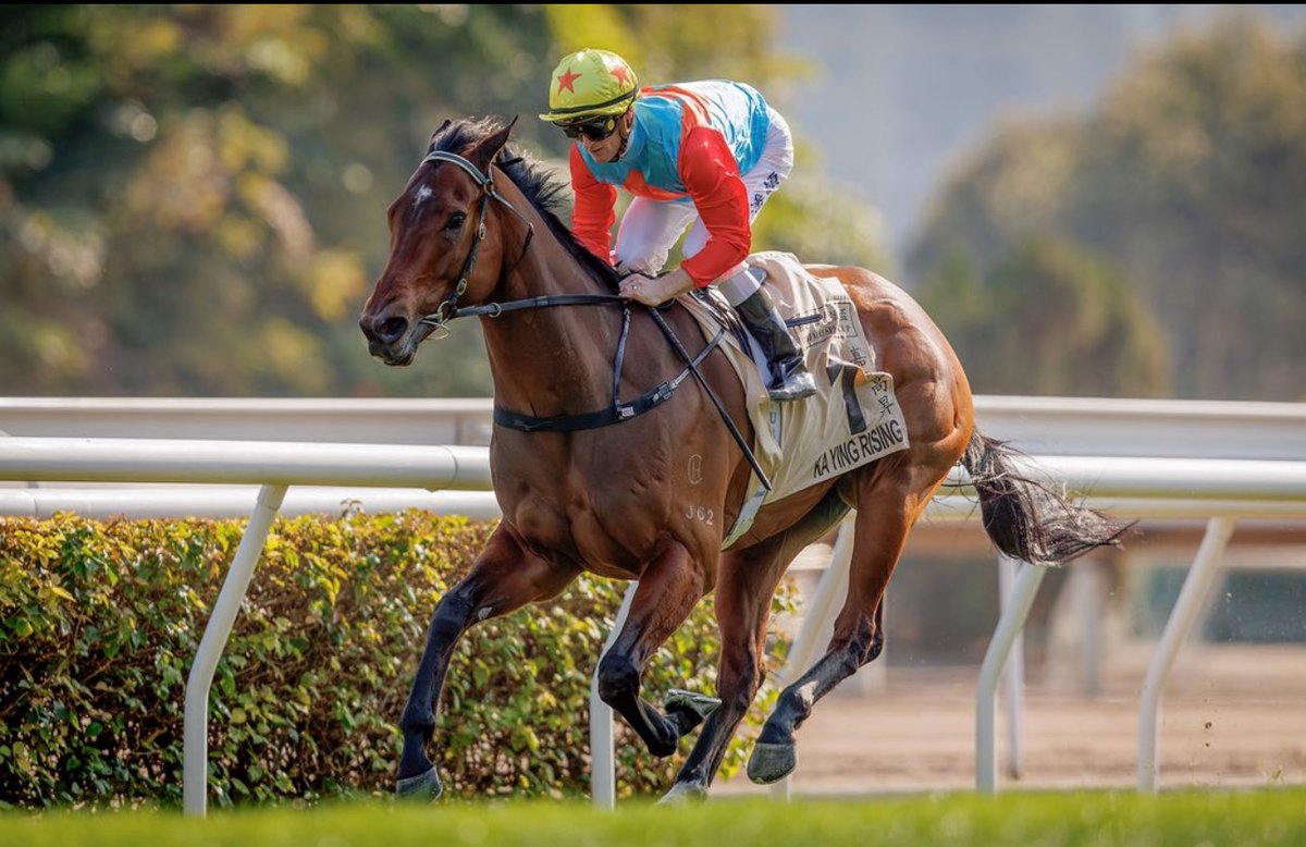 Mike Kneebone (@mike_kneebone) on Twitter photo Worlds Best Sprinter ✅
Hong Kong Champion ✅
New Zealand (NZ) ✅
Congratulations from <a href="/KarakaChat/">New Zealand Bloodstock</a>
#wherewinningbegins #NextSaleNovember2025RTR Worlds Best Sprinter ✅
Hong Kong Champion ✅
New Zealand (NZ) ✅
Congratulations from <a href="/KarakaChat/">New Zealand Bloodstock</a>
#wherewinningbegins #NextSaleNovember2025RTR