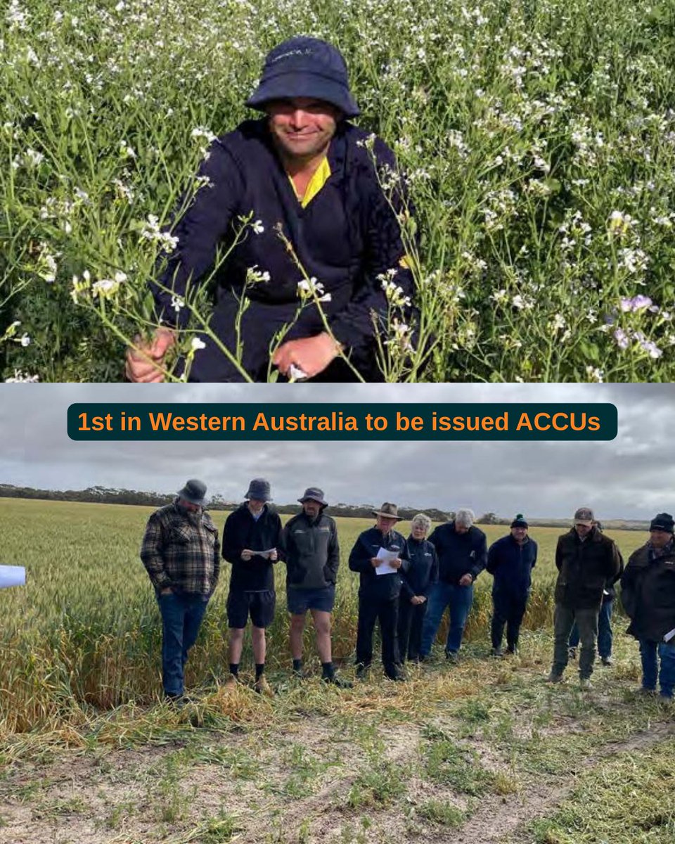 🌾 In case you missed it — big news from Western Australia!

The Morrison Carbon Project in WA is officially the first soil carbon project in the state to earn credits under the ACCU Scheme — with 6,652 ACCUs issued 🎉

👉 Read more: hubs.ly/Q03wPghx0