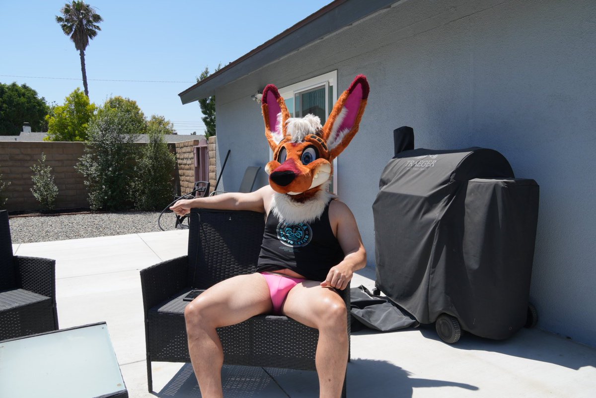 Enjoying tanning these thighs in the summer heat. Maybe you should come sit next to me...

#FursuitFriday 
#morefurless