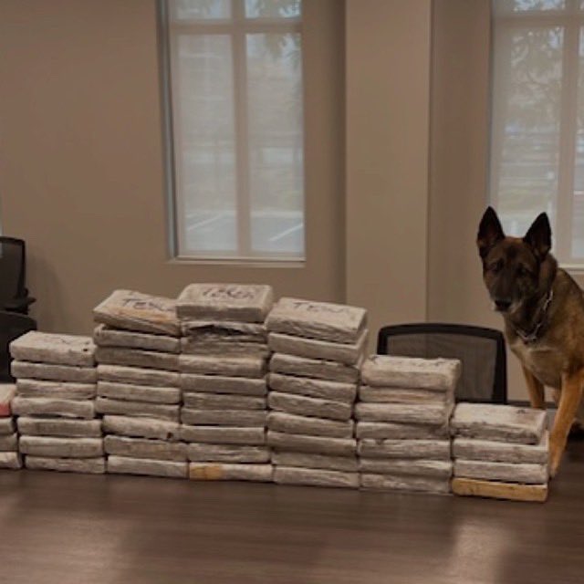 Today we celebrated K-9 Maya and wished her the best life possible as she heads into her retirement. 

K-9 Maya served Jeffersontown Police for 8 years. In photo #1, you can see her career stats of what she has taken off the streets in our community.