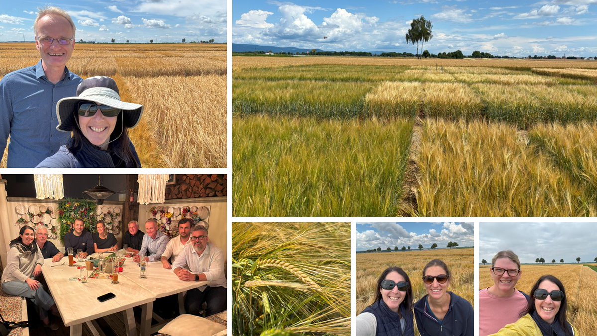 maria pardo tweet media