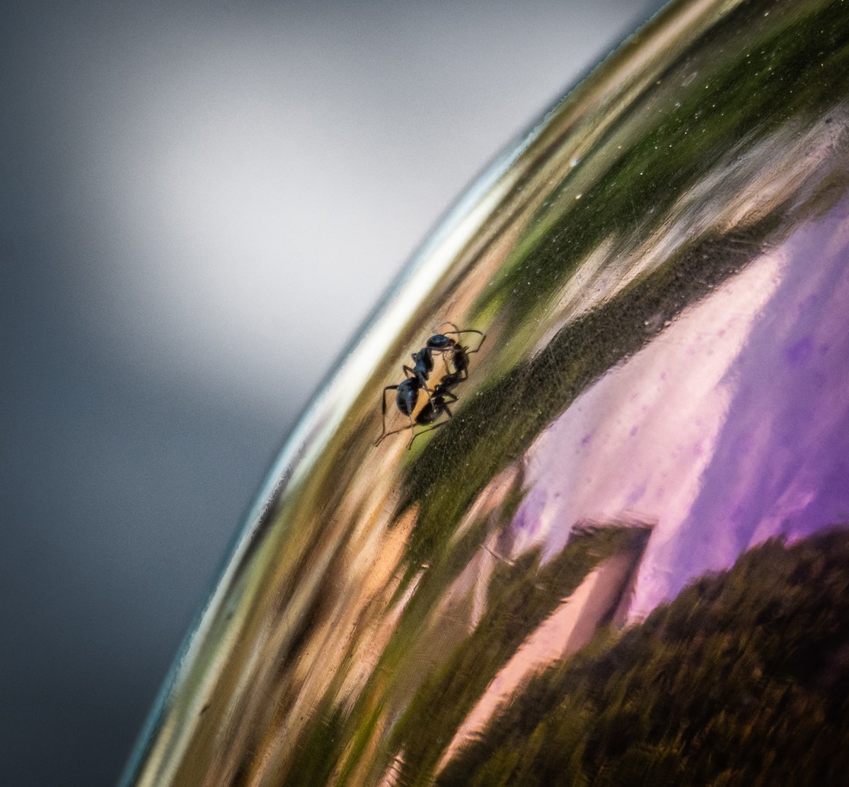 daniel111ab's tweet image. First post on twitter
Edmonton based photographer
looking to follow some other photographers
here&apos;s some of my work!

#edmonton #alberta #yeg #photography #photos #wildlife #landscape #birds #new