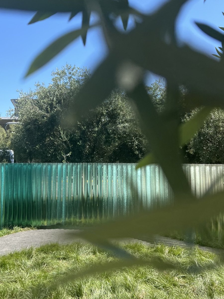 Georg von Manstein tweet media