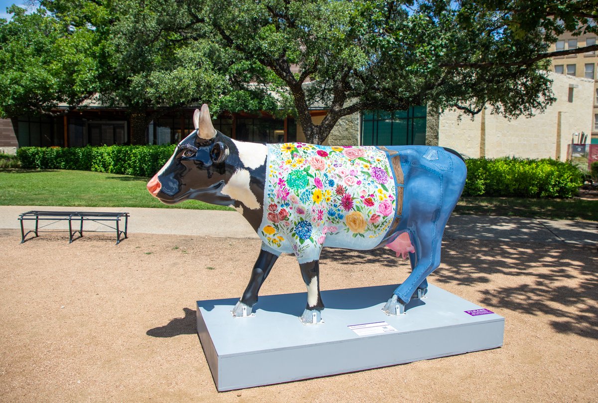 OfficialAlamo's tweet image. A new cow has arrived at the Alamo!
The Alamo has partnered with @CSRFoundations for the CowParade!
These cow sculptures by local artists will be auctioned off in September for charity to support children's healthcare. bit.ly/3TgHUux
#CowParade2025