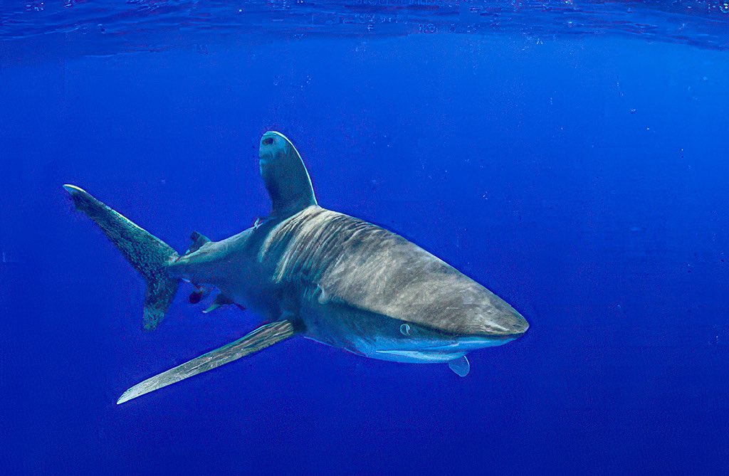 Third Age Expeditions ✈ tweet media