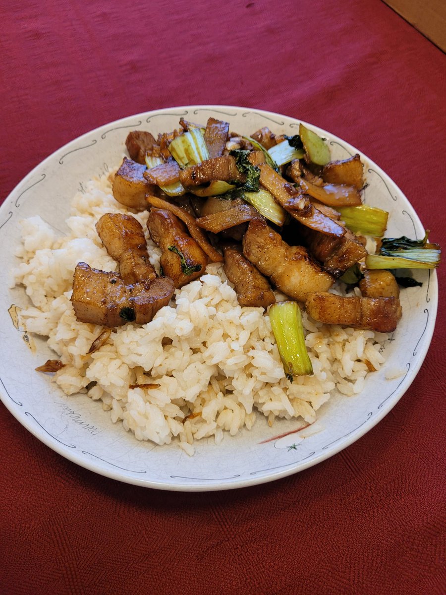 ive been trying to cook more these past few months and honestly im having a great time with it :3 this is soy garlic pork belly with bok choy and banboo shoots