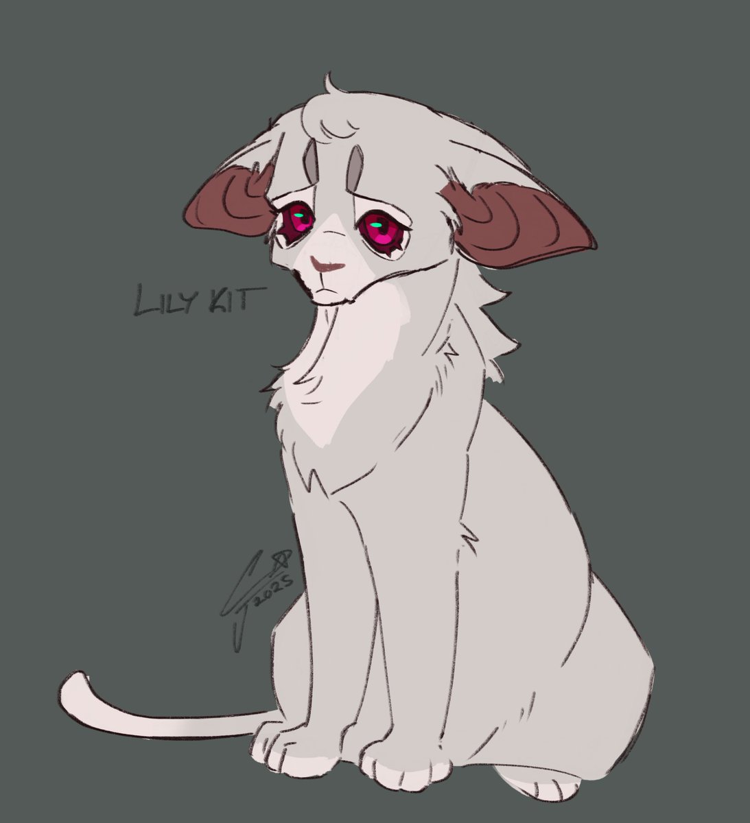 so ears…

#warriorcats #whitelilycookie