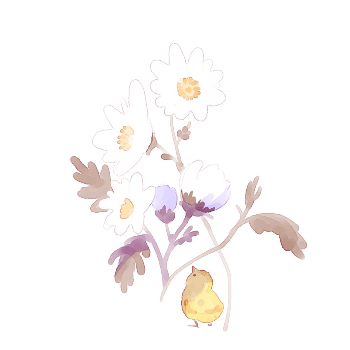 souder6967's tweet image. 🐤