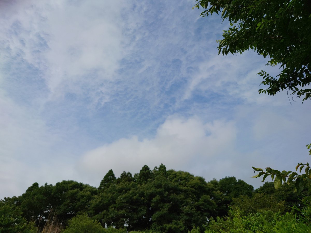 nakaken123123's tweet image. 少し雲が多いけど青空が見える土曜日の朝🌤️おはようございます😊この曲を聴きながら庭をぶらり🚶朝は涼しいせいか最近あまり聴く事がなかった蝉の鳴き声が聴こえますね😌

Japanese Breakfast - The Body Is A Blade (Official Video)
youtu.be/KmXnuD-JpOs?si…
#イマソラ 
#JapaneseBreakfast