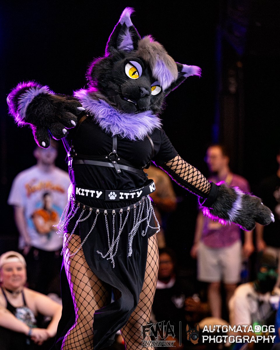 AutomataDog (@automatadog) on Twitter photo Astora competing at Battle Zoo during FWA25
🐈: <a href="/AstoraGray/">✨𝒜𝓈𝓉𝑜𝓇𝒶✨🔜 MP</a>
🪡: @randrcustoms / castorarctis
#Furry #Fursuit #FWA #FursuitFriday Astora competing at Battle Zoo during FWA25
🐈: <a href="/AstoraGray/">✨𝒜𝓈𝓉𝑜𝓇𝒶✨🔜 MP</a>
🪡: @randrcustoms / castorarctis
#Furry #Fursuit #FWA #FursuitFriday