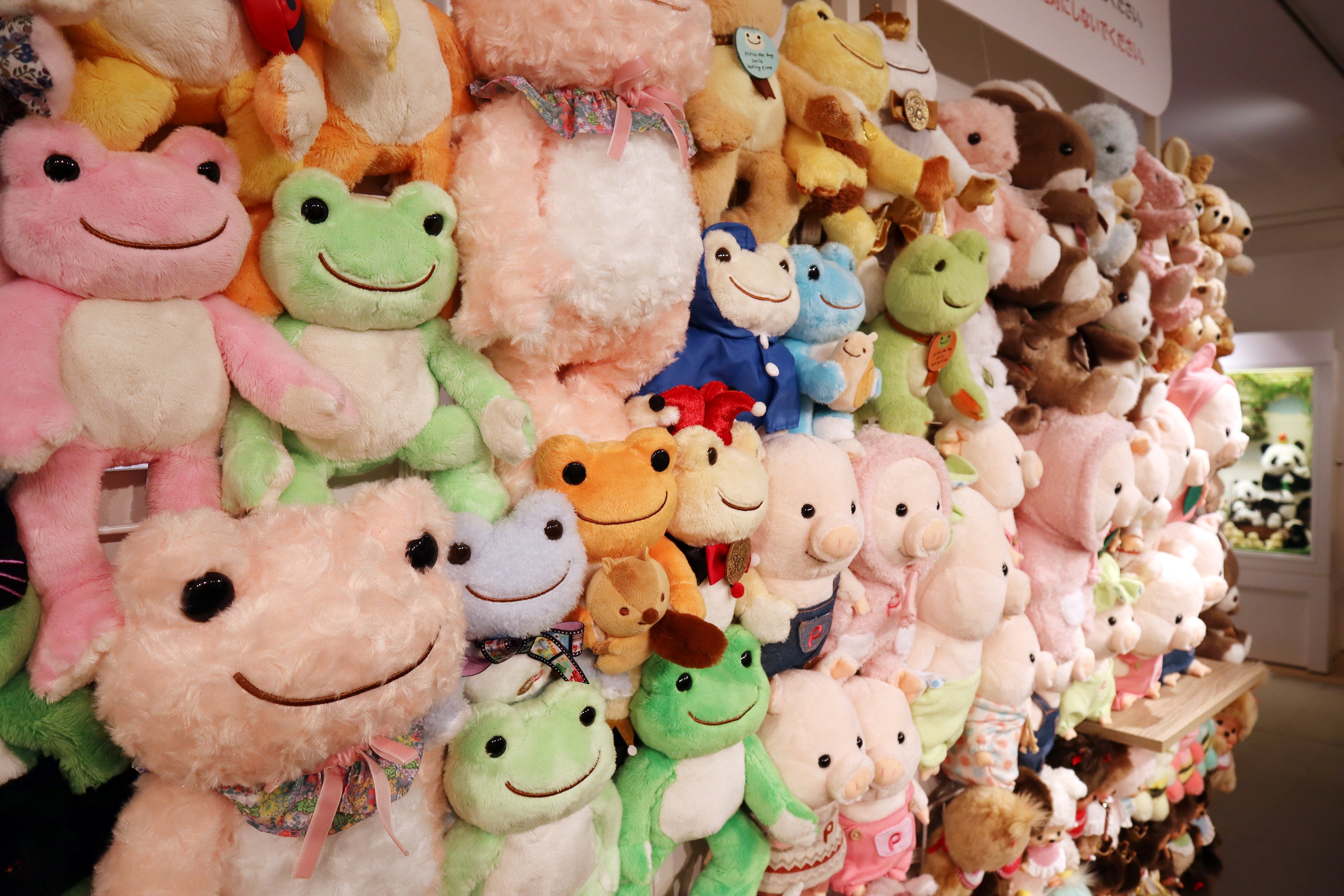 ぬい撮り、ぬいぐるみ旅行!　貴方の大切な可愛い相棒に♬ 蛙 on X: 