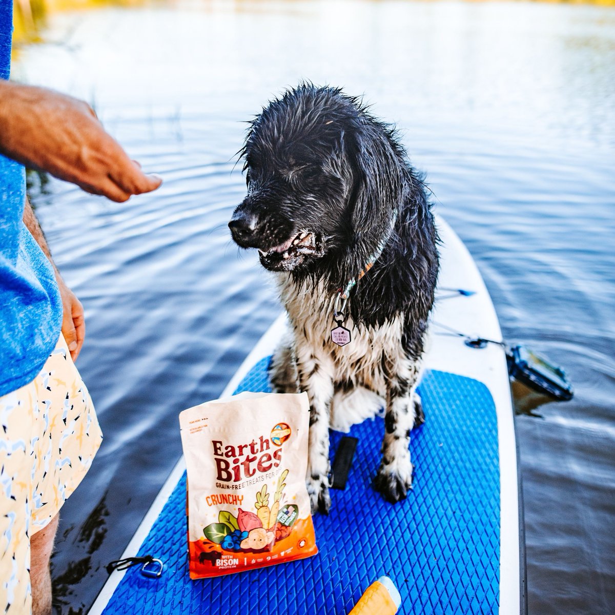EarthbornPets's tweet photo. Crunchin' under the sun ☀️ https://t.co/1bxoszgvuF