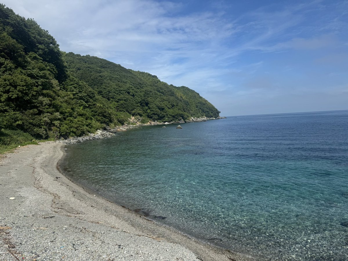 Umetarou tweet media