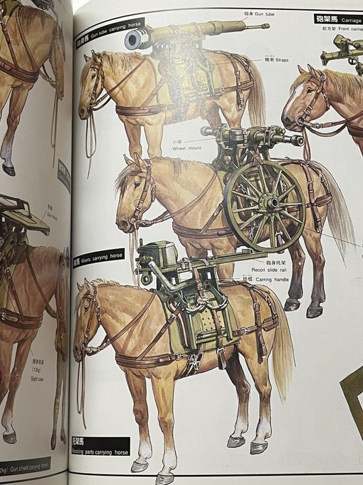 日本陸軍が兵器の輸送を軍馬への駄載に依存してたの。整備されていない道路や急峻な地形も影響してるような気がする。高度成長期の自動車普及と輸送の水運から陸運へのシフトは、高速道路建設や道路整備込みだったわけだし。>RT 