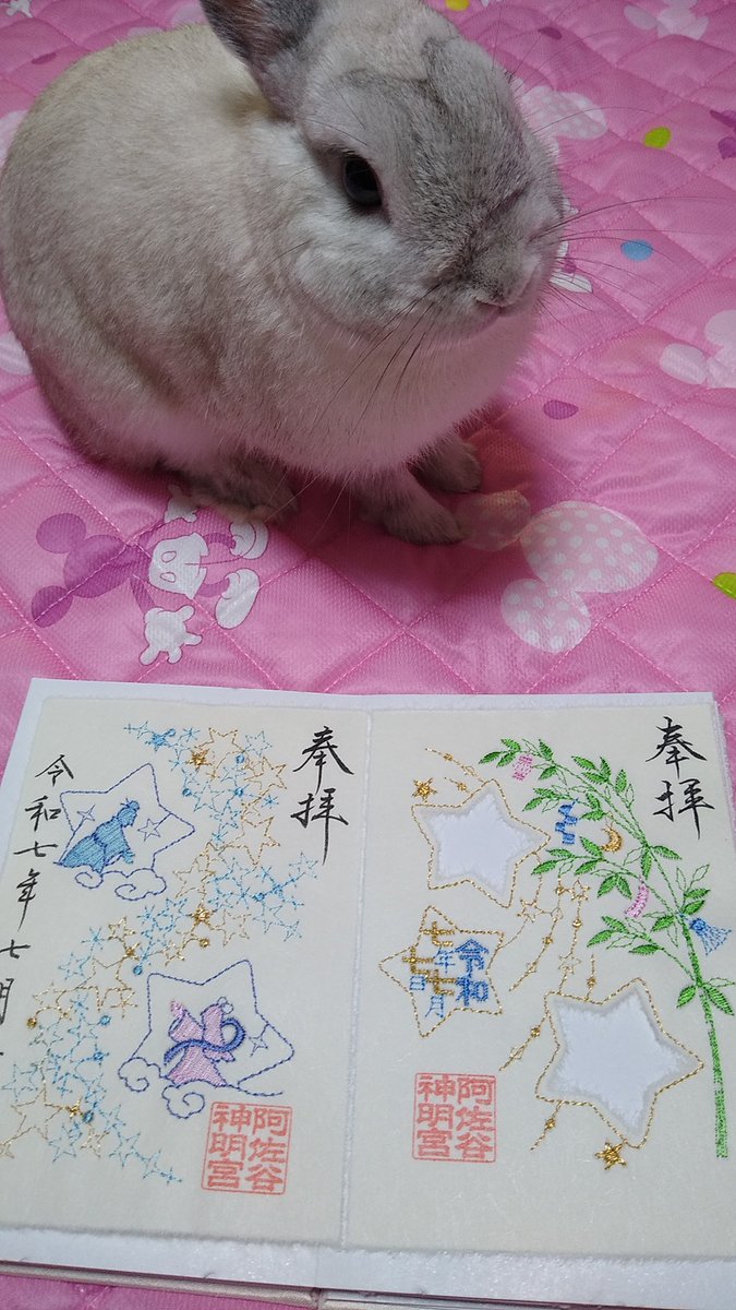 今回は七夕をテーマとした刺繍御朱印です🌟💫✨🎋王子様２世のお願い事は、世界中のみんなが平和に、幸せに暮らせますように、だそうです。