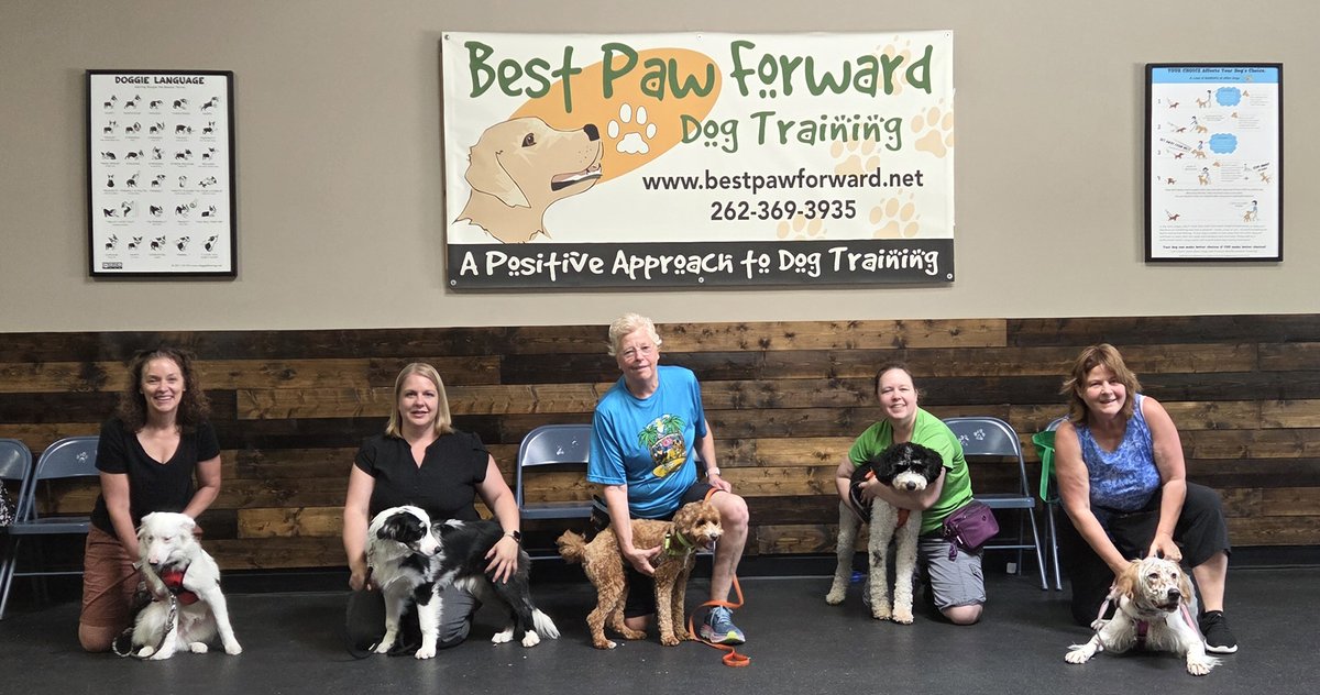 bestpawforwardw's tweet image. Congrats #BasicManners grads! These teams made incredible strides in building their relationship, improving their communication skills and in learning how to teach their pups basic skills. #GradPhotos  #Dogs #RewardBasedDogTraining #NeighborhoodFaves #TopChoiceFinalist
