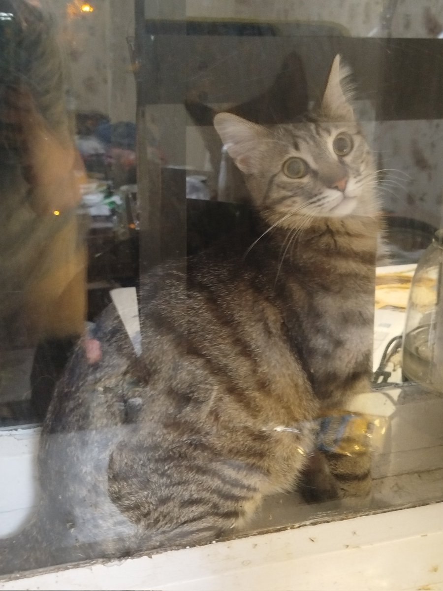 Друзья, я знаю, что вы ждали и верили