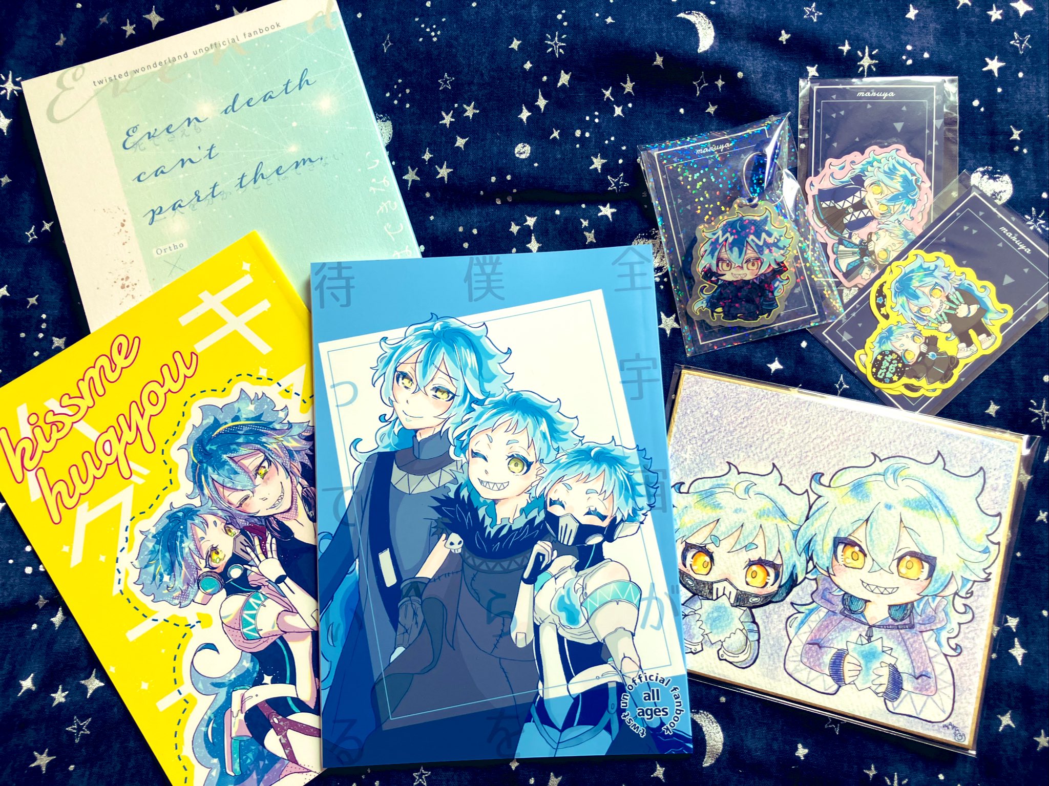 山中梅＠大九州in小倉C-17 (@UMEDAYO_sekaume) / X
