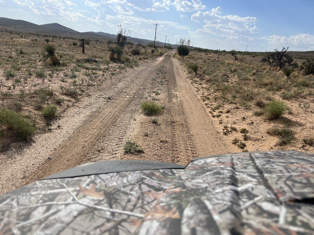 Coach Clark (@coachclark6) on Twitter photo On my 4 mile round trip to take out trash and check the mail.🤠 On my 4 mile round trip to take out trash and check the mail.🤠