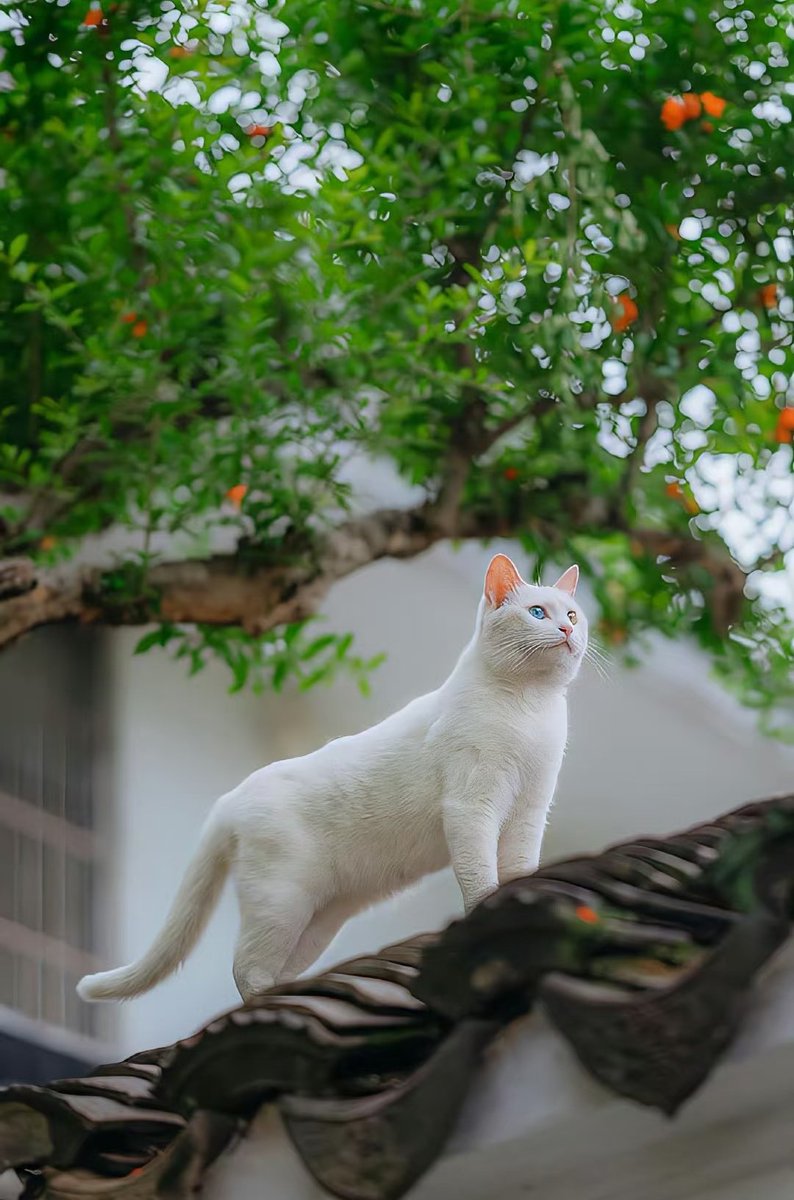 Have a nice weekend, friends