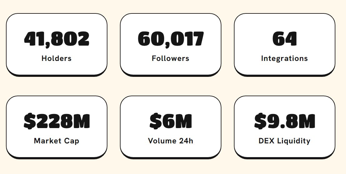 RabCardano's tweet image. BREAKING: @snek officially broke 60k followers