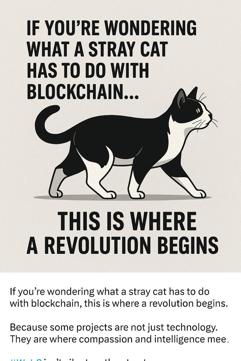 🐾 If you're wondering what a stray cat has to do with blockchain, this is where a revolution begins. 
🐾 Because some projects are not just about technology. 
🐾 They are where compassion and intelligence meet. 
🐾 With Web3, the streets are no longer silent.