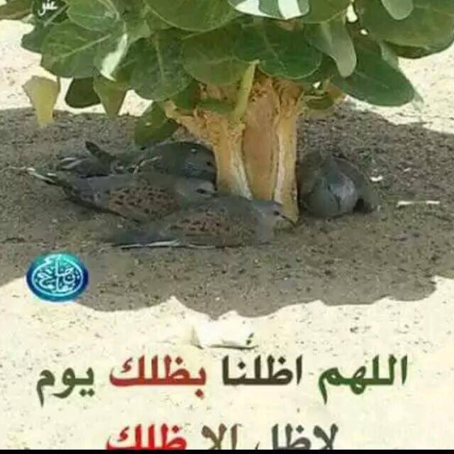 وفاء 🌹 (@jakaii6) on Twitter photo 