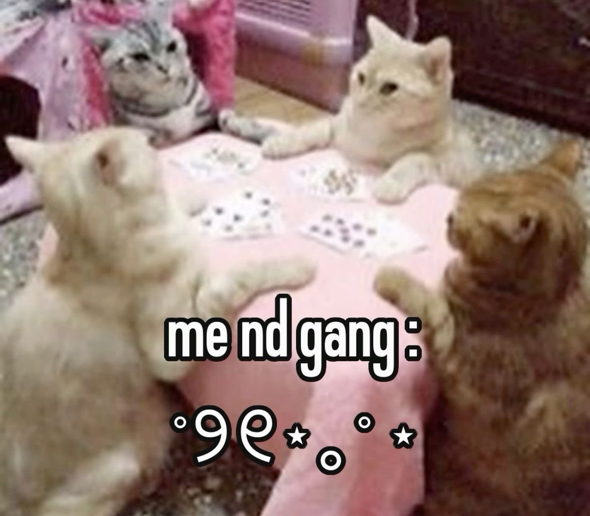 astralbaes's tweet image. 