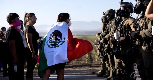 Anneqwertyui's tweet image. A raid at a cannabis operation leaves one gravely injured and becomes a massive spectacle