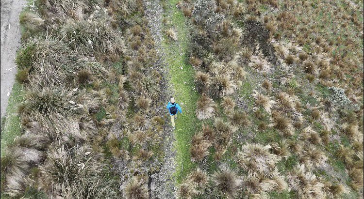 Oda al dron

Aparato mágico,
que vuelas y capturas paisajes.
Nunca pensé volar un avión,
una avioneta,
o nave especial.

Pero contigo vuelo.
Veo lugares que nunca había visto.
Mis aventuras son diferentes contigo.

Ahora descubro cosas,
#NoEsUnPájaro 
descubro la naturaleza,
que