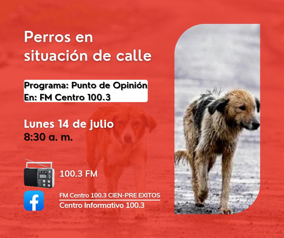 Observatorio Ciudadano de Protección Animal (@observaanimal) on Twitter photo 📌 El lunes 🗓️ 14 de julio, a las 🕣 8:30 a. m., 📻🎙️🖥️ en el programa #PuntoDeOpinión, ➡️ a través del 100.3 de FM o en las páginas de #Facebook de <a href="/fm_noti/">Centro Informativo</a>: Centro Informativo 100.3 y FM Centro 100.3 CIEN-PRE EXITOS, 🗣️ se hablará acerca de la 😿 problemática social de...
1/2 📌 El lunes 🗓️ 14 de julio, a las 🕣 8:30 a. m., 📻🎙️🖥️ en el programa #PuntoDeOpinión, ➡️ a través del 100.3 de FM o en las páginas de #Facebook de <a href="/fm_noti/">Centro Informativo</a>: Centro Informativo 100.3 y FM Centro 100.3 CIEN-PRE EXITOS, 🗣️ se hablará acerca de la 😿 problemática social de...
1/2