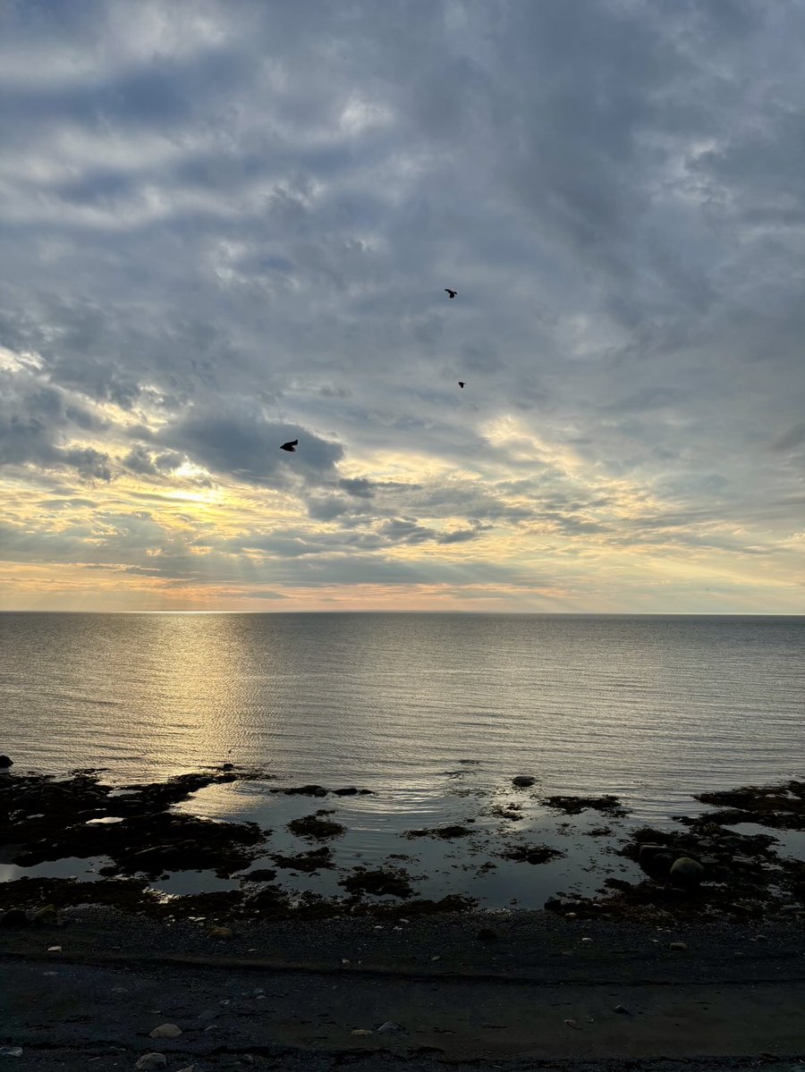 NMatanais's tweet image. Le fleuve St-Laurent aujourd’hui #SteFélicité #Matanie #Gaspésie #Québec