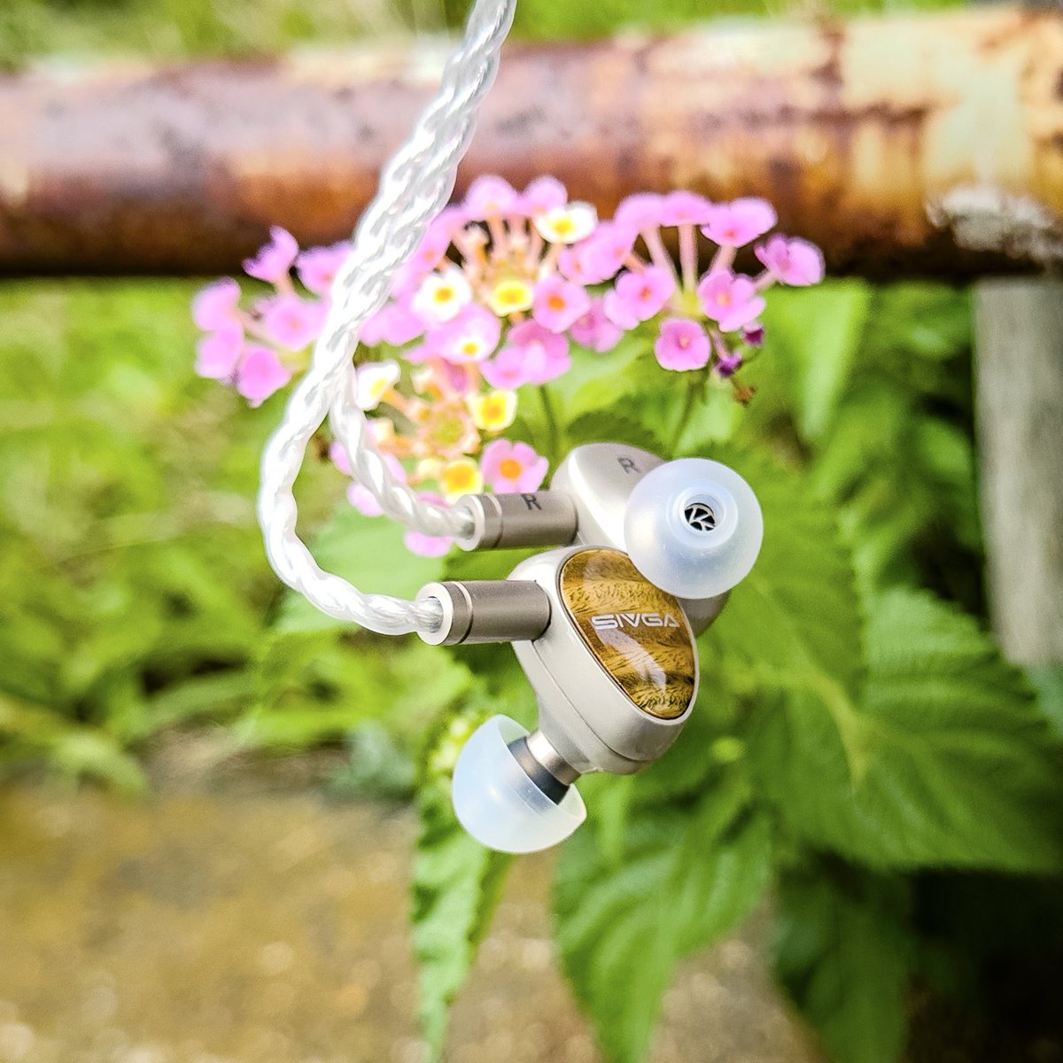 おはようございます。 ちょっと曇りな土曜日

散歩のお供は SIVAGA Que UTG + SpinFit NEO

ちょっと遅めの散歩オーディオ
今朝はまだまだ涼しいですね