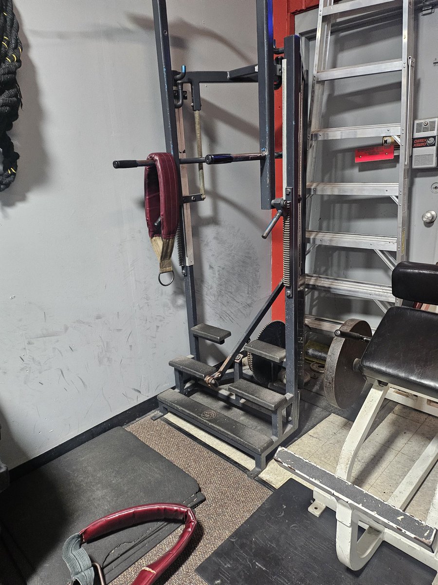 Legendary vintage Nautilus donkey calf raise machine at my gym. Some really cool old equipment here.