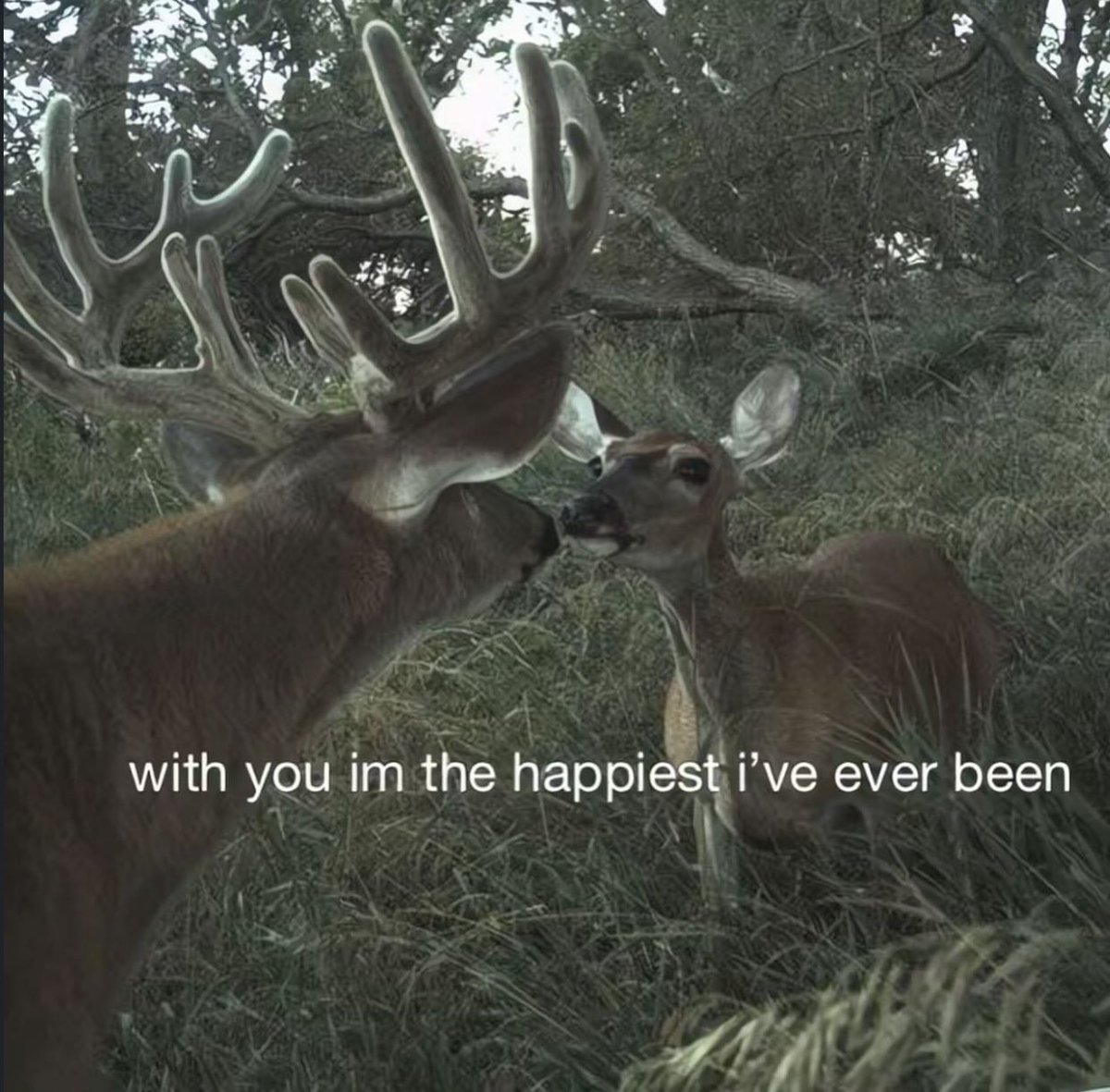 Me & Who? (@tagyourwho) on Twitter photo 