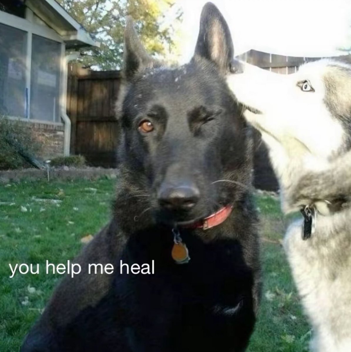 Me & Who? (@tagyourwho) on Twitter photo 