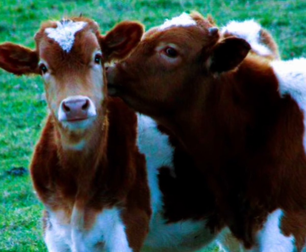 Me & Who? (@tagyourwho) on Twitter photo 