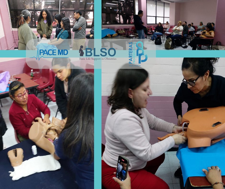Asociación de Parteras Profesionales de México tweet media
