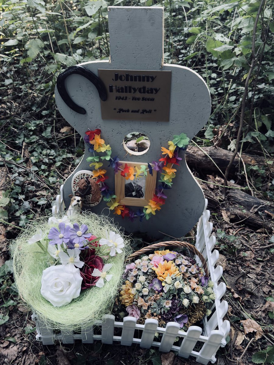 outofthisera123's tweet photo. #Lasemo
#LeTroquet
#RIPstars https://t.co/aM1VQUjw2m