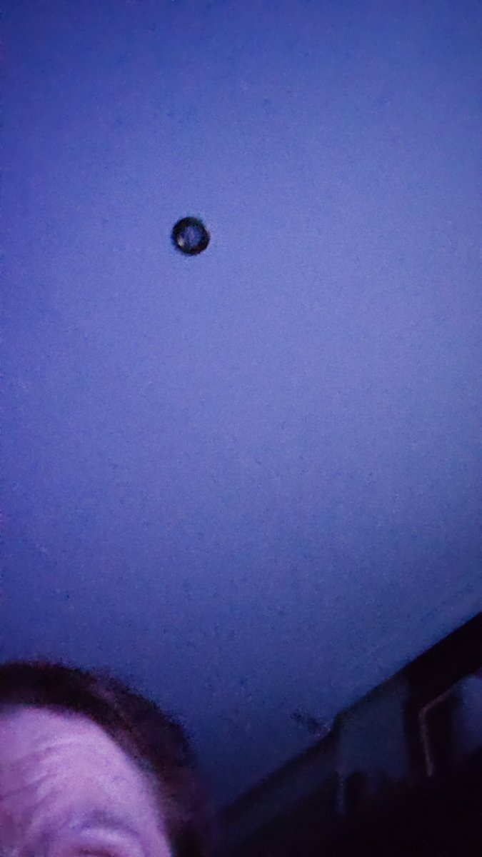 Marta Martinez tweet media