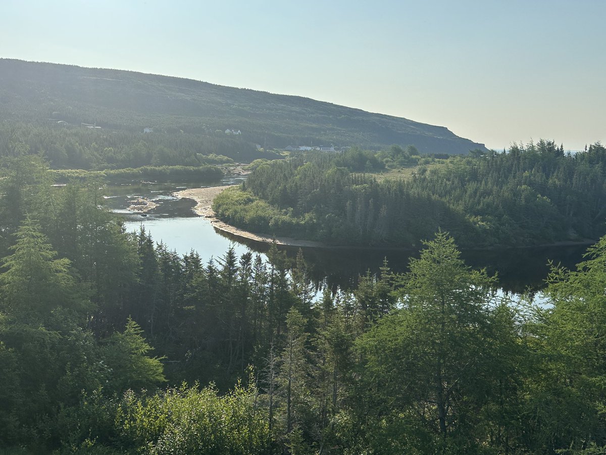 Mark Normore (@m_normore) on Twitter photo 