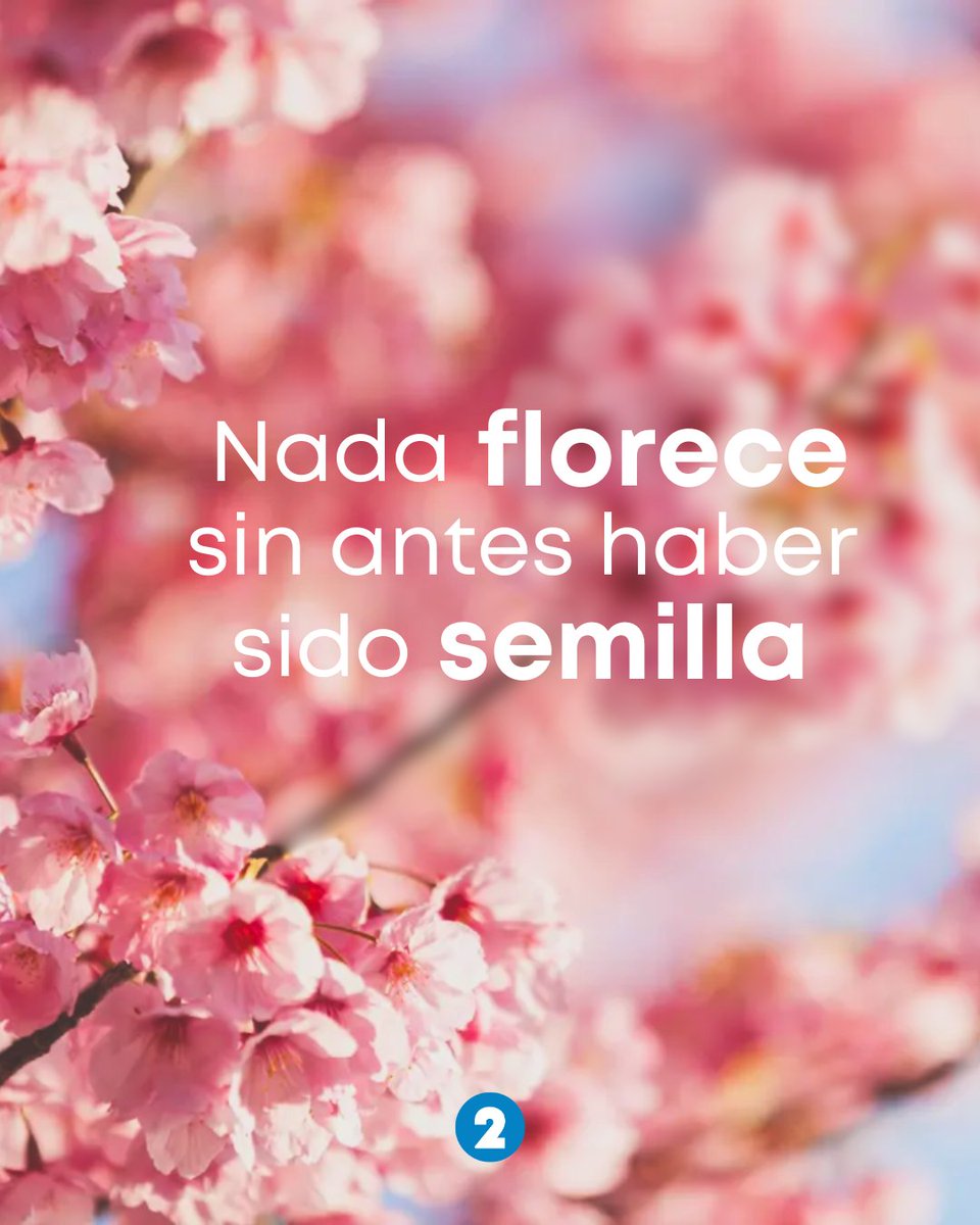 Confía en el proceso❤️‍🩹