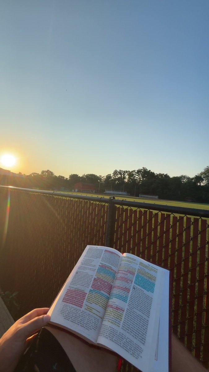 ❌arcus Bush tweet media