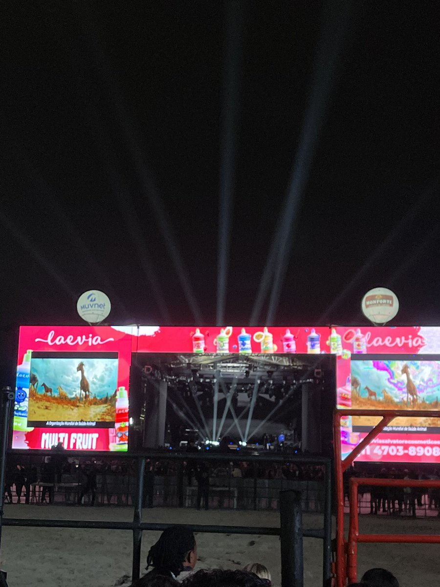 Chegueeeeeei 💙😍